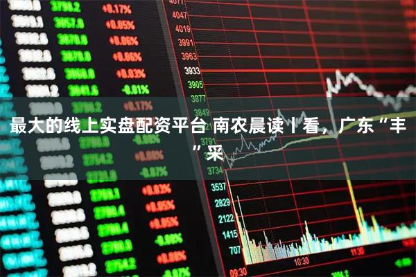 最大的线上实盘配资平台 南农晨读丨看，广东“丰”采